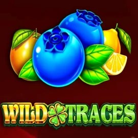 Play Wild Traces slot by Amusnet Interactive on diva-spins.gr